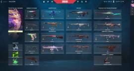 Valorant acc / inmortal  I / + 100 skins / 800eur spent inside, € 500.00