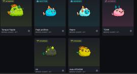 SELLING AXIE ACCOUNT - 14 AXIE AND OBJECTS, USD 1,200.00