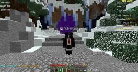 Vendo cuenta de Minecraft Premium con cosméticos en lunar client, USD 40.00