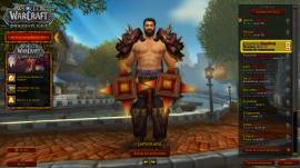 On sale WoW account Server Onyxia US, USD 150.00