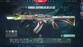 I sell Valorant account with many and very good Skins!, USD 700.00