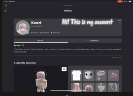 Account Roblox in sell, USD 230.00