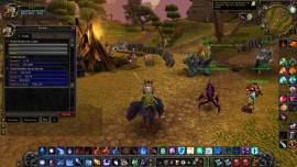 Selling Wow Account TBC Mage level 65 Blood Elf Horde SV Faerlina, USD 40.00