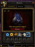 Cuenta Warmane-Lordaeron Paladin Retry Lvl 80, USD 150.00