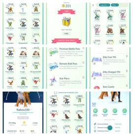 Pokemon Go Global Server-Pokemon Go Account LV 50 Mystick Team, USD 250.00