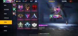 CUENTA FREE FIRE SEMICHETADA MUJER - FREE FIRE ACCOUNT WITH GOOD THING, USD 250.00