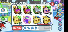 Pet simulator X Minimal of 200M gems with some pets more than 1q, € 5.00