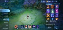 Youtuber Account Official Levi YT Mobile Legends, € 600.00