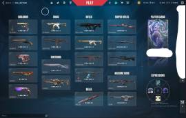 HARD STACK VALORANT ACCOUNT RIOT GUN BUDDY, radiants ALL WEAPONS SKINS, USD 600.00