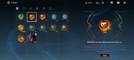 Wild rift account platino NA, USD 15.00