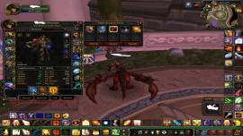 WOW LK Warmane-Icecrown, Paladin Horde HPala 5.6 PVE // DPS 5.7 PVP, USD 90.00