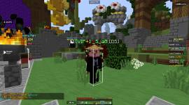 I am selling minecraft account Rank VIP+ in hypixel, USD 35.00