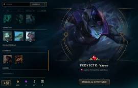 I booost league of legends accounts to level 30, 100 € and I get skins, USD 200.00