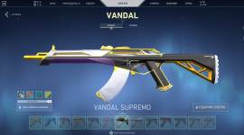 Valorant Account with Several Skins and all passes complete to 100, USD 400.00