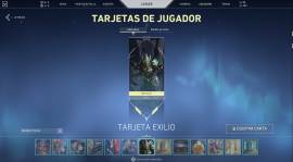 Valorant Account with Several Skins and all passes complete to 100, USD 400.00