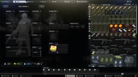 TARKOV BASIC ACCOUNT, € 25.00