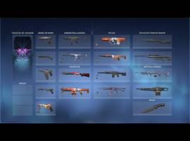 Valorant account for sale with all agents and skins, USD 50.00