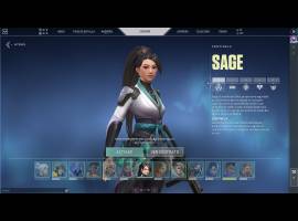 Valorant account for sale with all agents and skins, USD 50.00