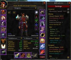 SELL ACC WOW TBC, HORDA HUNTER T6 AND PRIEST T5 FAERLINA, USD 350.00