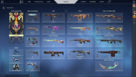 Valorant account | +20 skins | LAS, USD 50.00