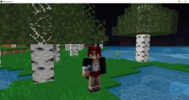 minecraft premium account full access , USD 7.00