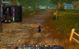 human priest alliance wow level 70, USD 180.00