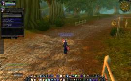 human priest alliance wow level 70, USD 180.00