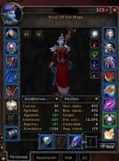 WoW TBC Wizard Troll Account for sale, USD 50.00