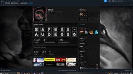 Vendo cuenta de steam 133 juegos, 169 DLC, nivel 23., USD 500.00