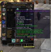 SELL WARMANE ACCOUNT (ICECROWN) WARRIOR/MAGUE FULL PVP (6.6/6.2 GS), € 150.00