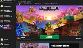 MINECRAFT JAVA & BEDROCK FULL ACCESS, USD 25.00