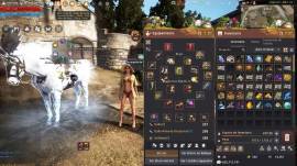 Vendo cuenta de Black Desert SA, USD 420.00