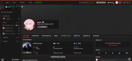 STEAM ACCOUNT FACEIT LVL 10, GLOBAL ELITE, 140 GAMES, LVL 34 STEAM, USD 350.00