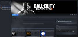 Call of Duty: Black Ops II Standard Edition Steam Account, € 9.90