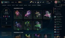 League of legends 132 skins + valorant con skins, USD 400.00