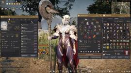 For sale account Black Desert Online EU x 17 characters (VERY COMPLETE, € 800.00