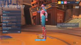 I sell Overwatch Gold / Platinum account lvl 140, € 30.00