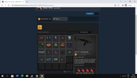 CSGO ACCOUNT PRIME STATUS, USD 30.00