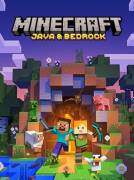 Minecraft java & bedrock , USD 20.00