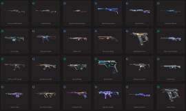 cuenta con muchas skins a muy buen precio , € 100.00