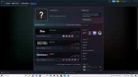 Steam account with many free and purchased games, € 350.00