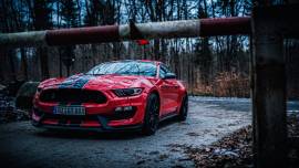 mustang wallpapers , USD 6.50