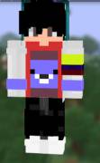 Hago Skins de Minecraft (No necesariamente es como la que adjunté), USD 1.00