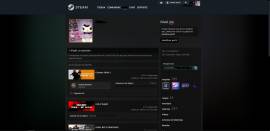 STEAM LVL 270 MAIN ACCOUNT / CSGO PRIME / 10Y SERVICE , USD 500.00