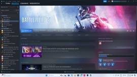 A Steam account, USD 200.00