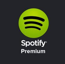 Spotify Premium 1 month subscription gift card, € 8.95