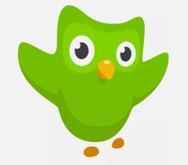 Cupón descuento para Super Duolingo 3 Meses, € 29.95