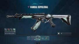 valorant region NA account with 2 exclusive skins, USD 60.00