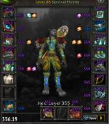 10 characters lvl 85 - 357 item lvl + 100k gold all ready for fireland, USD 800.00