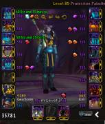 10 characters lvl 85 - 357 item lvl + 100k gold all ready for fireland, USD 800.00